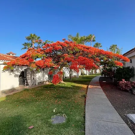 Parque Golf Fresh * Maspalomas