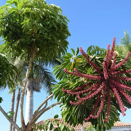 Parque Golf Fresh ماسبالوماس