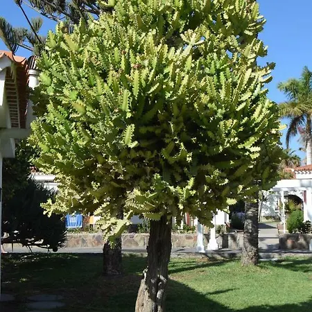 Parque Golf Fresh Apartman Maspalomas