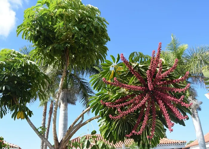 Parque Golf Fresh Maspalomas (Gran Canaria)