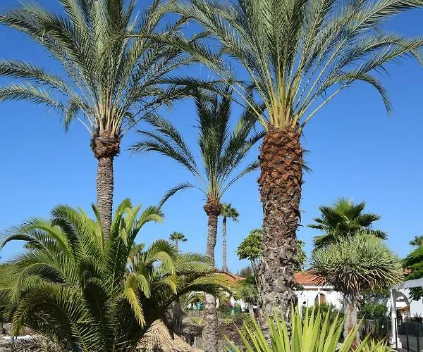 Parque Golf Fresh Daire