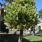 Parque Golf Fresh Appartement Maspalomas (Gran Canaria)